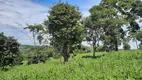 Foto 13 de Fazenda/Sítio com 4 Quartos à venda, 150m² em Setor Central, Hidrolândia