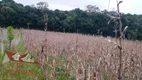 Foto 2 de Fazenda/Sítio com 1 Quarto à venda, 9000m² em Colônia Malhada, São José dos Pinhais