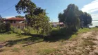 Foto 39 de Fazenda/Sítio com 2 Quartos à venda, 440m² em , Felixlândia