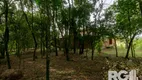 Foto 10 de Fazenda/Sítio com 4 Quartos à venda, 6648m² em Lageado, Porto Alegre