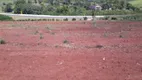 Foto 4 de Lote/Terreno à venda em Sobradinho, Mogi Mirim