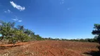 Foto 20 de Fazenda/Sítio com 3 Quartos à venda, 20000m² em Setor Central, Terezópolis de Goiás