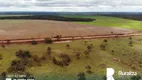 Foto 6 de Fazenda/Sítio à venda, 1000m² em Zona Rural, Palmeirante