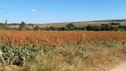 Foto 5 de Fazenda/Sítio com 3 Quartos à venda, 1130000m² em Planaltina, Brasília