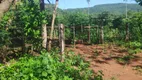 Foto 22 de Fazenda/Sítio com 1 Quarto à venda, 16250m² em Piraputanga, Aquidauana