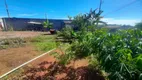 Foto 8 de Lote/Terreno à venda, 312m² em Jacaraipe, Serra