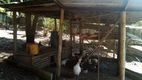 Foto 9 de Fazenda/Sítio com 5 Quartos à venda, 200m² em , Cachoeiras de Macacu