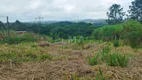 Foto 4 de Lote/Terreno à venda, 600m² em Curral, Ibiúna