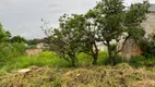 Foto 3 de Lote/Terreno à venda, 375m² em Pedra Branca, São Joaquim de Bicas