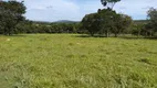 Foto 25 de Fazenda/Sítio com 2 Quartos à venda, 104000m² em Chacaras Recanto de Ala, Mirassol