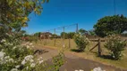 Foto 2 de Fazenda/Sítio com 4 Quartos à venda, 400m² em , Santa Terezinha de Itaipu