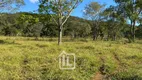 Foto 35 de Fazenda/Sítio à venda em Zona Rural, Hidrolândia