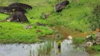 Foto 6 de Lote/Terreno à venda, 535m² em , Matias Barbosa