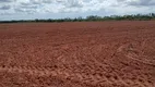 Foto 10 de Fazenda/Sítio com 3 Quartos à venda, 44000m² em Centro, Touros