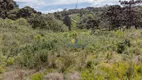 Foto 37 de Lote/Terreno à venda, 19118m² em Santa Cândida, Curitiba