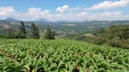 Foto 21 de Fazenda/Sítio com 2 Quartos à venda, 62000m² em Centro, Alfredo Wagner