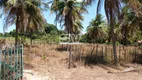 Foto 15 de Fazenda/Sítio com 3 Quartos à venda, 42520m² em Patacas, Aquiraz