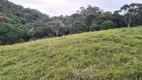 Foto 21 de Fazenda/Sítio à venda, 65000m² em Centro, Águas Mornas