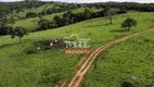 Foto 18 de Fazenda/Sítio à venda, 469m² em Zona Rural, Urutaí