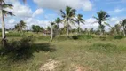 Foto 13 de Fazenda/Sítio à venda em Centro, São José de Mipibu