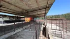 Foto 42 de Fazenda/Sítio com 2 Quartos à venda, 350m² em Reforma Agraria, Valinhos