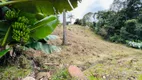 Foto 17 de Fazenda/Sítio com 3 Quartos à venda, 356950m² em Bateias, Campo Largo