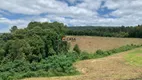 Foto 17 de Lote/Terreno à venda, 22000m² em Bugre, Balsa Nova