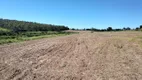 Foto 11 de Fazenda/Sítio à venda, 312000m² em ALTO DA SERRA, São Pedro