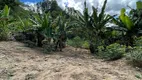 Foto 11 de Lote/Terreno à venda, 15000m² em Zona Rural, Santa Teresa