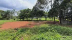 Foto 52 de Fazenda/Sítio com 3 Quartos à venda, 6000m² em Area Rural de Uberlandia, Uberlândia