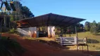 Foto 7 de Fazenda/Sítio com 4 Quartos à venda, 200m² em Centro, Tuiuti