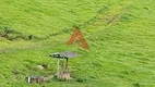 Foto 7 de Fazenda/Sítio com 2 Quartos à venda, 450m² em Campos de Cunha, Cunha