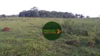 Foto 2 de Fazenda/Sítio à venda, 484000m² em Zona Rural, Caldazinha