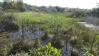 Foto 14 de Fazenda/Sítio com 3 Quartos à venda, 70000m² em Centro, Ceará Mirim