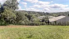 Foto 9 de Lote/Terreno à venda, 9075m² em Samambaia, Campo Magro