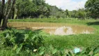 Foto 5 de Fazenda/Sítio com 4 Quartos à venda, 20000m² em Japuíba, Cachoeiras de Macacu