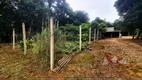 Foto 19 de Fazenda/Sítio com 1 Quarto à venda, 5000m² em Faxina, São José dos Pinhais