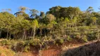 Foto 5 de Fazenda/Sítio à venda, 30000m² em Centro, Marechal Floriano