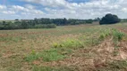 Foto 6 de Fazenda/Sítio à venda, 10000m² em Area Rural de Mogi Mirim, Mogi Mirim
