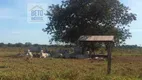 Foto 7 de Fazenda/Sítio à venda, 406000000m² em Zona Rural, Pium