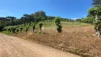 Foto 4 de Lote/Terreno à venda, 120000m² em Vale dos Vinhedos, Bento Gonçalves