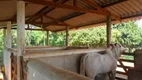 Foto 36 de Fazenda/Sítio com 4 Quartos à venda, 72600m² em Fazenda Palhinha Zona Rural, São José do Rio Preto