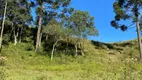 Foto 21 de Lote/Terreno à venda, 20000m² em Rural, Rio Rufino