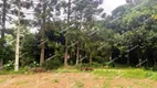 Foto 21 de Fazenda/Sítio com 2 Quartos à venda, 16000m² em Campestre da Faxina, São José dos Pinhais