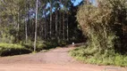 Foto 3 de Lote/Terreno à venda, 30000m² em , São José do Hortêncio