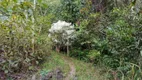 Foto 18 de Fazenda/Sítio com 1 Quarto à venda, 10m² em Zona Rural, Colinas do Sul