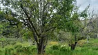 Foto 8 de Fazenda/Sítio com 3 Quartos à venda, 17000m² em Centro, Marmelópolis