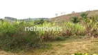 Foto 4 de Fazenda/Sítio com 3 Quartos à venda, 600000m² em , Prados