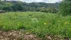 Foto 6 de Fazenda/Sítio com 1 Quarto à venda, 22290m² em , Carlos Barbosa