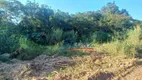 Foto 6 de Lote/Terreno à venda, 10171m² em Abadia, Louveira